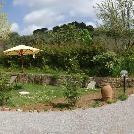 Florens Cortona