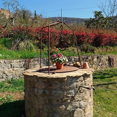 Florens Holiday home Cortona